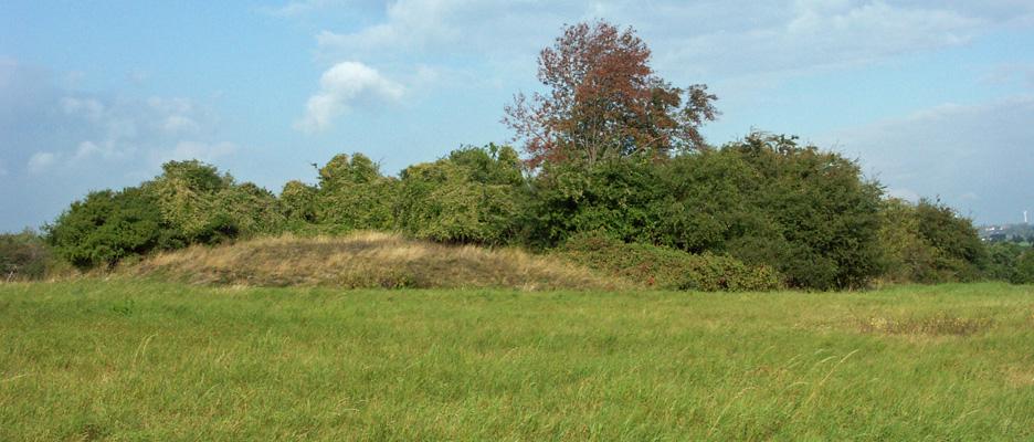 Kupferschieferhalden bei Wimmelburg © Salix - Büro für Ökologie und Landschaftsplanung
