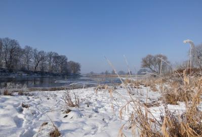 Mulde im Winter (LRT 3270) © Christoph Henke