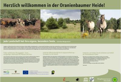 Schautafeln informieren in der Oranienbaumer Heide über Projekte und die dortige Natur © Hochschule Anhalt