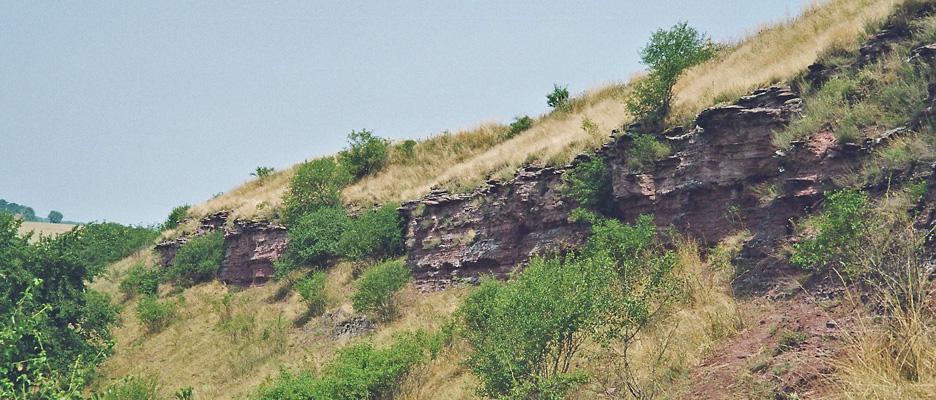 Felsband südlich Haldensleben © LPR - Landschaftsplanung Dr. Reichhoff GbR