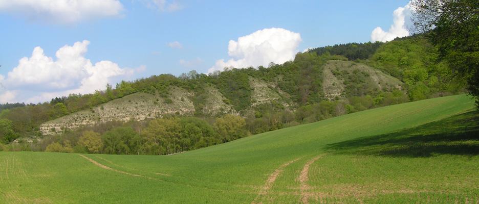 Kalk-Trockenrasen am Hasselbachtal © RANA - Büro für Ökologie und Naturschutz