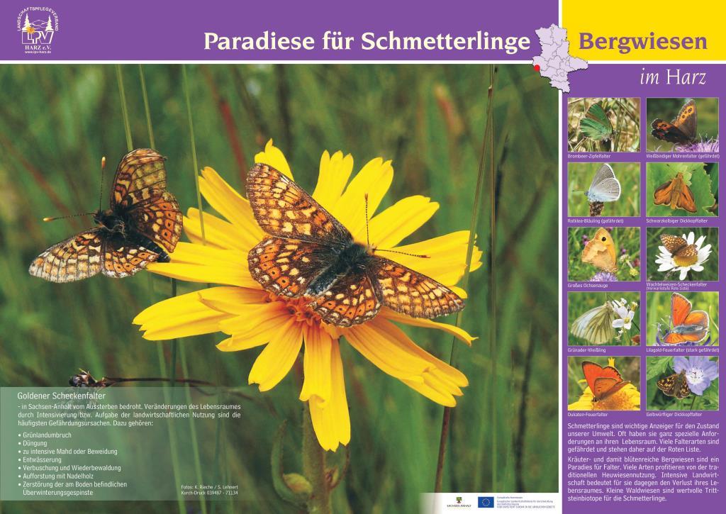 Plakat 'Paradies für Schmetterlinge'